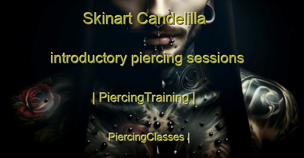 Skinart Candelilla introductory piercing sessions | PiercingTraining | PiercingClasses | SkinartTraining-Mexico